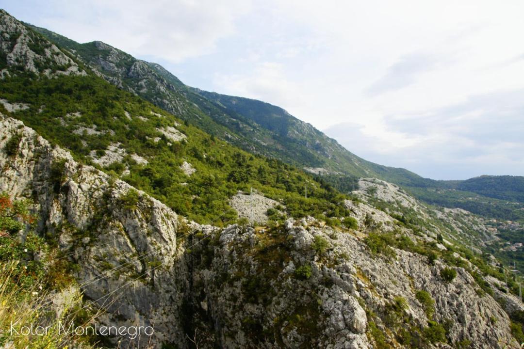 Apartments Batricevic Herceg Novi Exterior photo